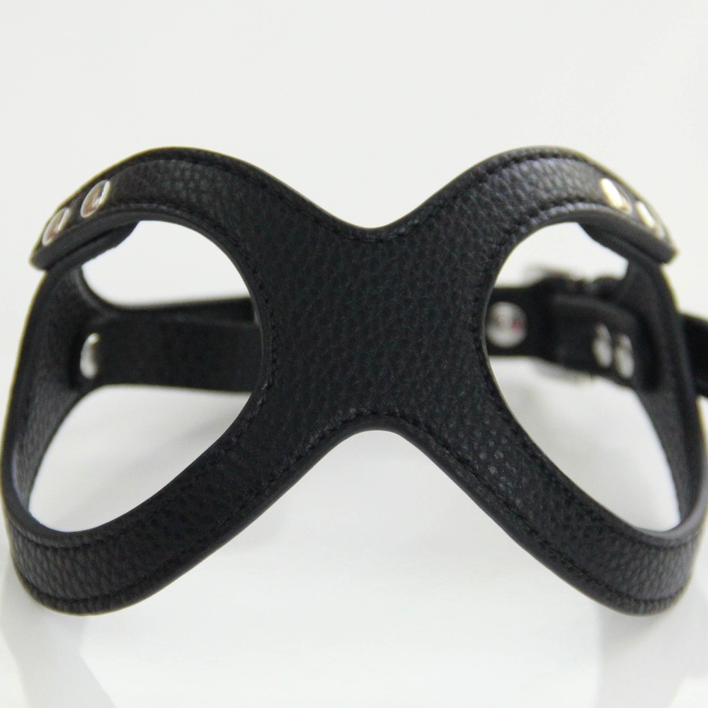 To Beg for Accessories and Treats Premium Vegan Dog Harness Size Large